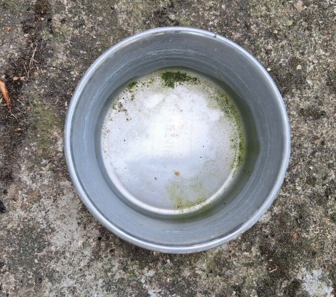 Toddler drank from filthy outside dog bowl