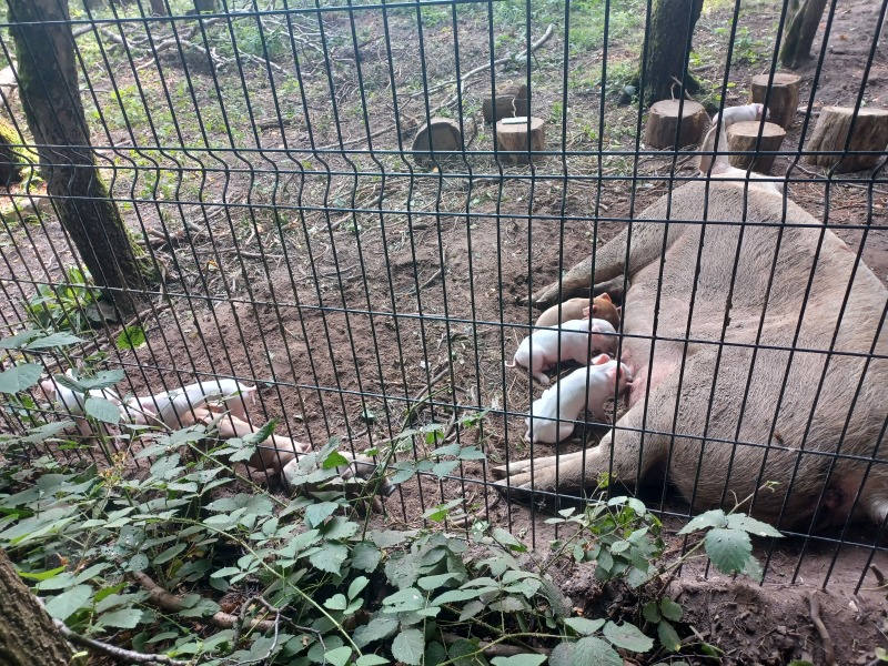 Come chat hiking with me!