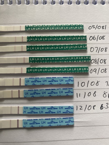 TTC #1 no previous pregnancies cycle #6 - looking for others in the same boat!