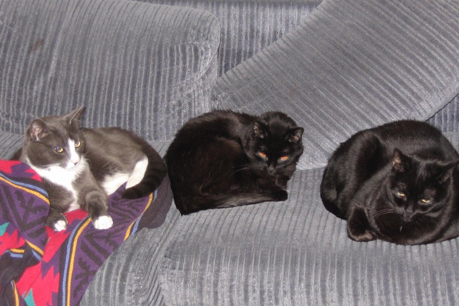 Come and tell me your dull and unexciting news 30: Calmly through the day