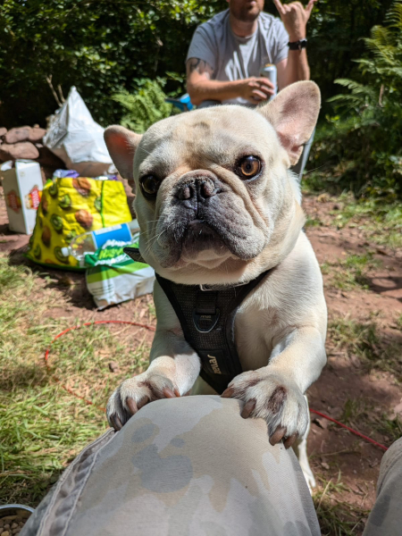 Thread 6 Starmer: We're going to need a bigger skip!