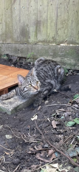 Thread 6 Starmer: We're going to need a bigger skip!