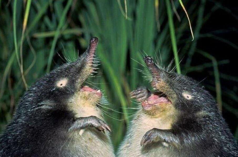 Ukraine Invasion: Part 50