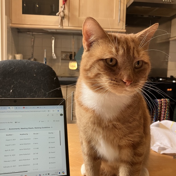 Passports, buckets and spades - the Excellent Cats go on their holidays