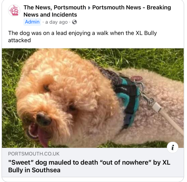 TW - Upsetting information: XL Bully attack *edited by MNHQ