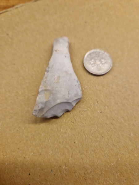 Could this be a stone tool, or just a rock?