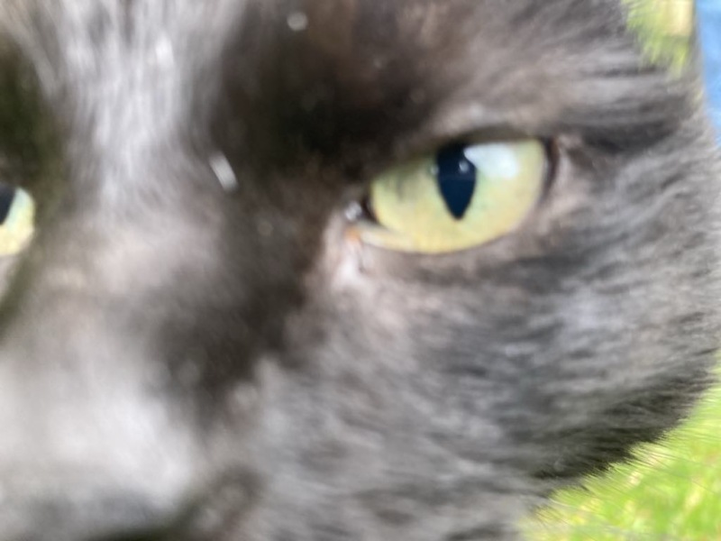 Thread 6 Starmer: We're going to need a bigger skip!