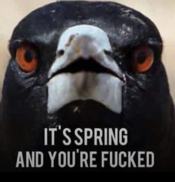First signs of Australian spring
