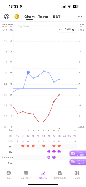 Secondary LH surge 9 dpo