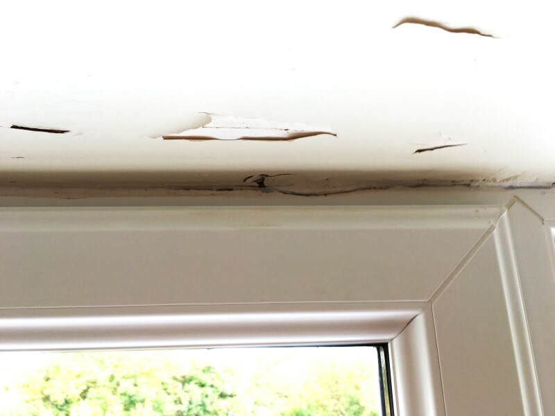 Buying A House with Leaks