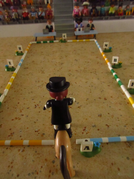 It's time for the Olympic Games for the Playmobil people in our house...