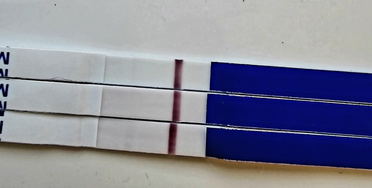 A line eye enthusiast #3