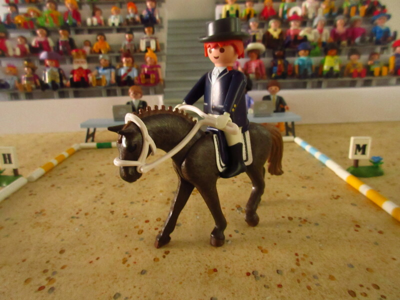 It's time for the Olympic Games for the Playmobil people in our house...