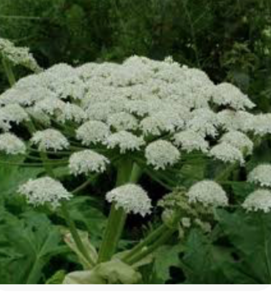 Infected bits getting worse?