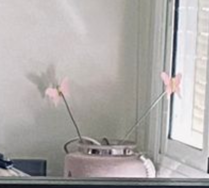 Does anyone know what this is?