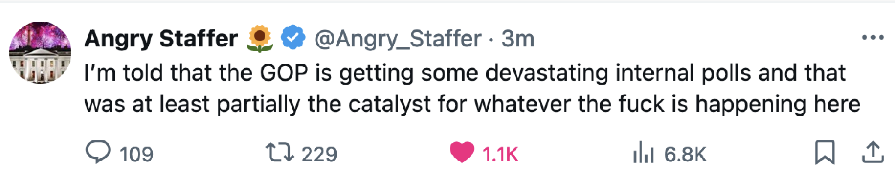 It's not over until the Cat Lady sings - Trump thread #133