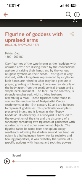 Paleolithic female figurines