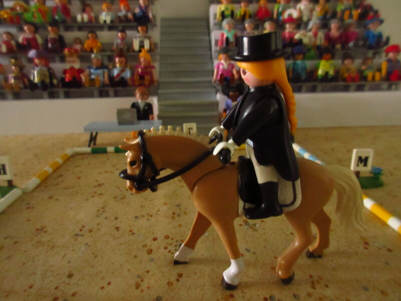 It's time for the Olympic Games for the Playmobil people in our house...