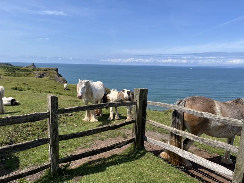 Thread 4 Starmer: Fighting back with brooms and community.