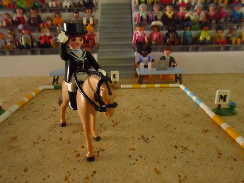 It's time for the Olympic Games for the Playmobil people in our house...