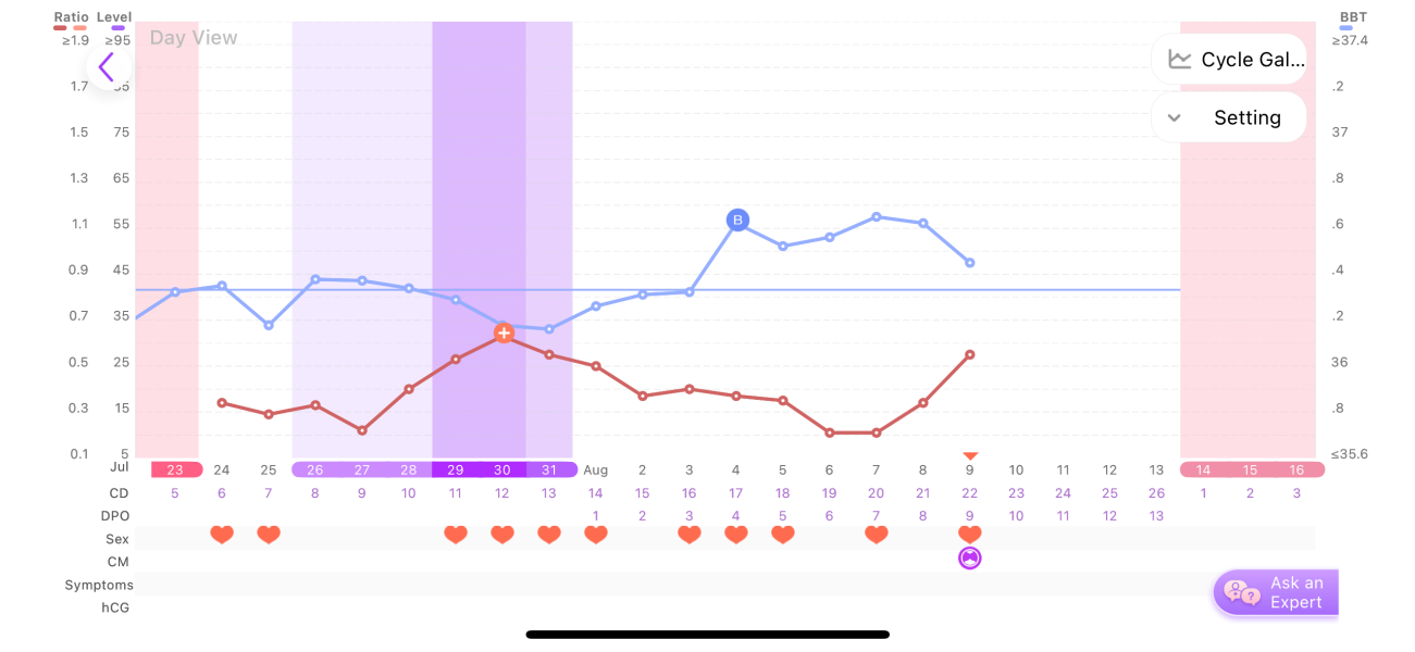 Secondary LH surge 9 dpo