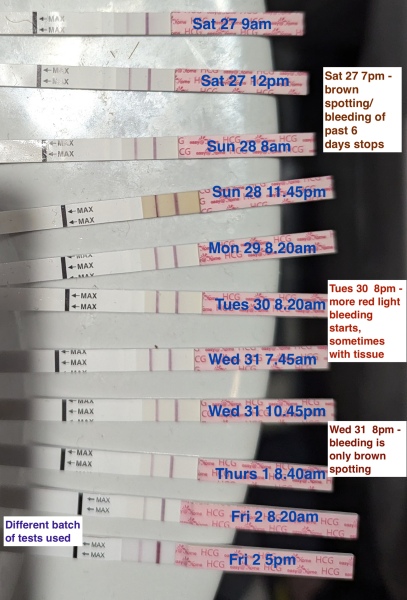 Is this a miscarriage or not?
