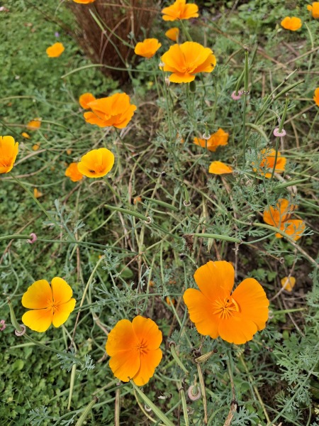 Thread 6 Starmer: We're going to need a bigger skip!