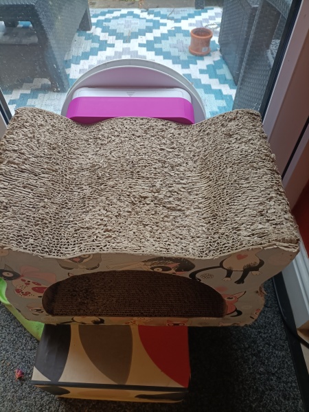 Blocking a cat flap at night