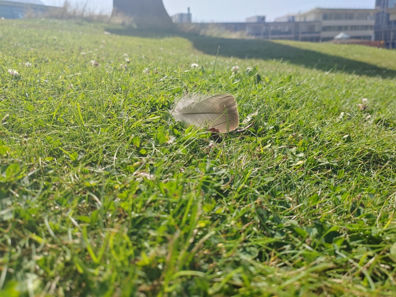 Any Witches here? Part 20