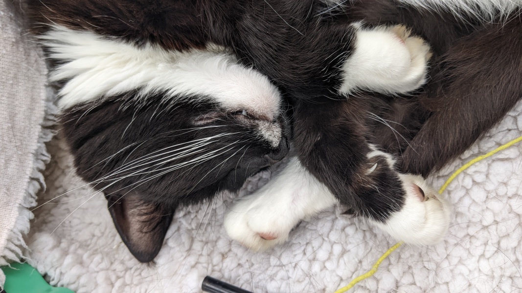 Thread 5 Starmer: keeping on keeping on