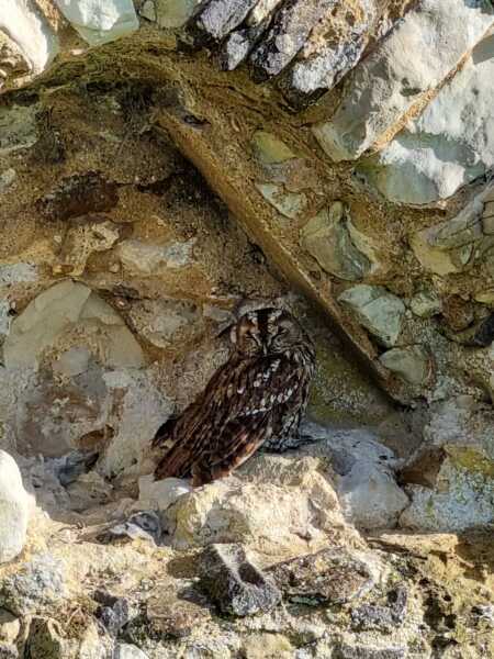 Thread 6 Starmer: We're going to need a bigger skip!