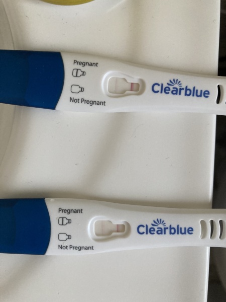 Clear blue test. Evap line or positive
