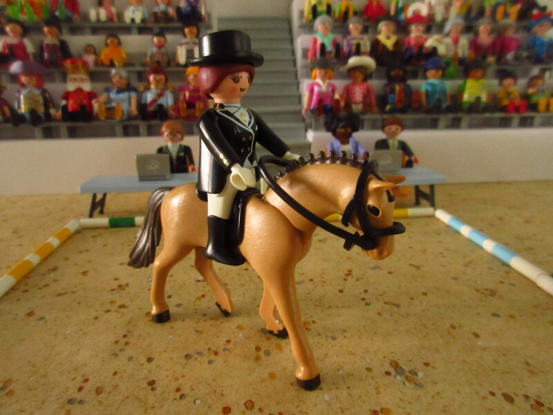 It's time for the Olympic Games for the Playmobil people in our house...
