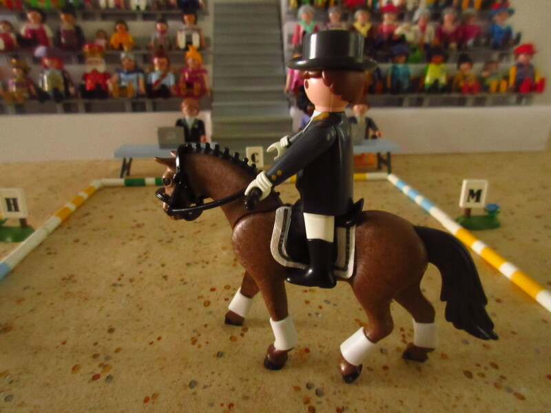 It's time for the Olympic Games for the Playmobil people in our house...