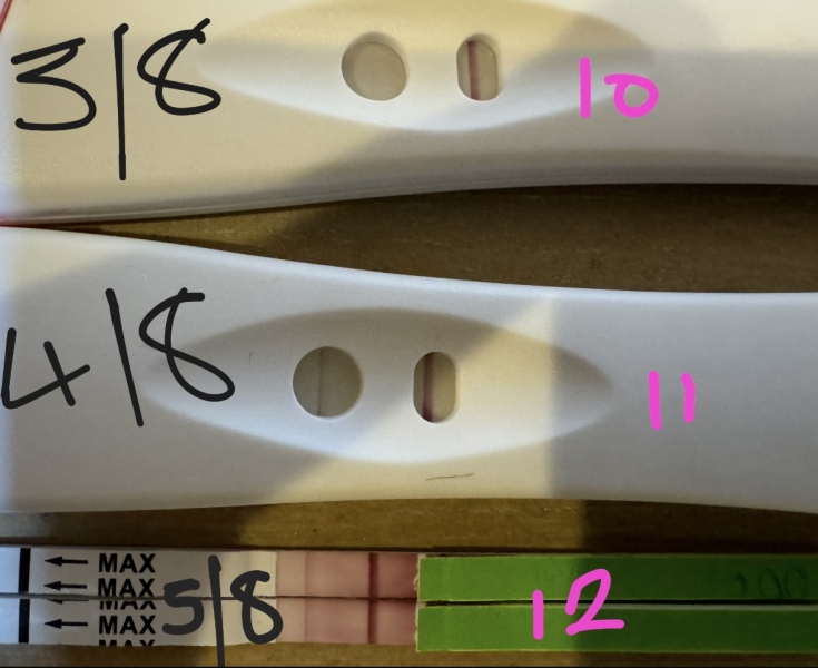 Help reading ovulation tests please