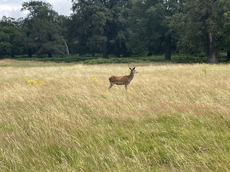 Thread 5 Starmer: keeping on keeping on