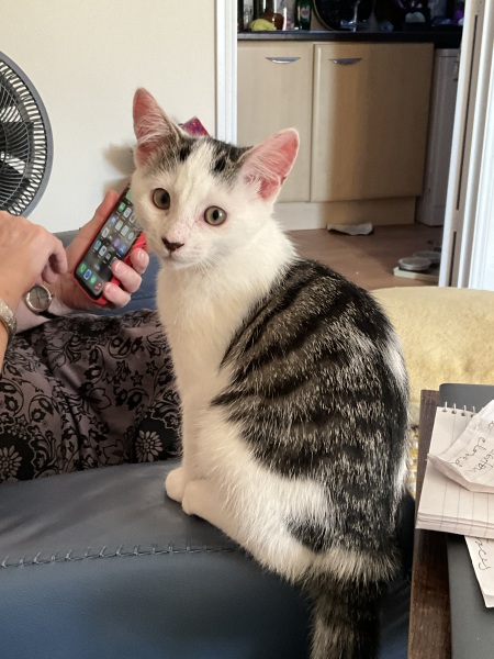 Thread 6 Starmer: We're going to need a bigger skip!