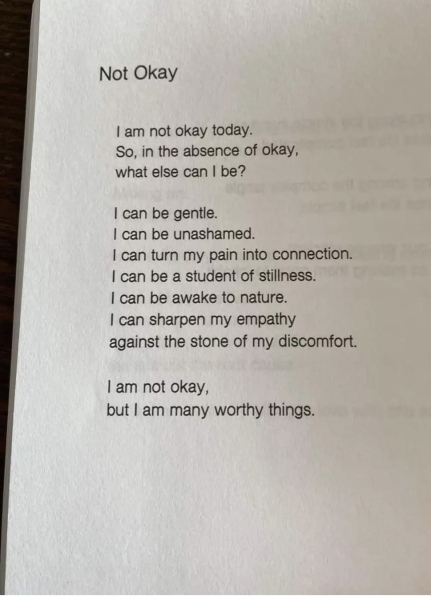 Day 1 or 1000 all welcome on the tulips and snowdrops thread 🌷