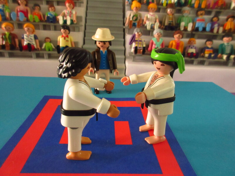 It's time for the Olympic Games for the Playmobil people in our house...