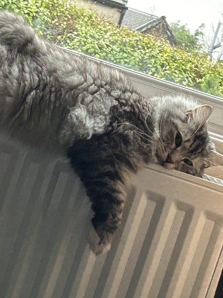 Siberian care