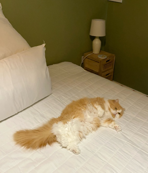 Thread 5 Starmer: keeping on keeping on