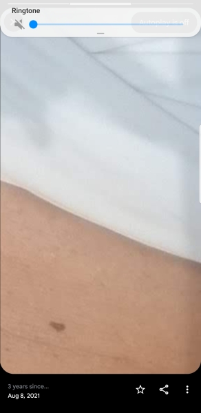 Moles
