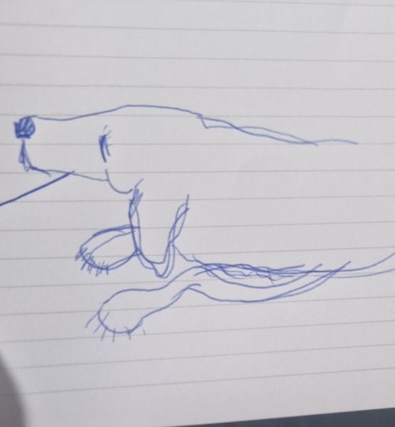 5 things I can do today to feel better?