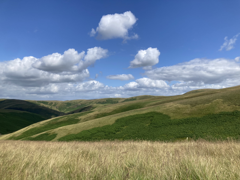 Come chat hiking with me!