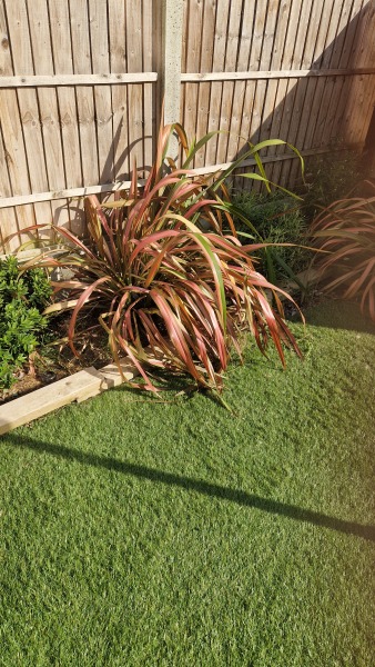 Sorting garden . (Pic)