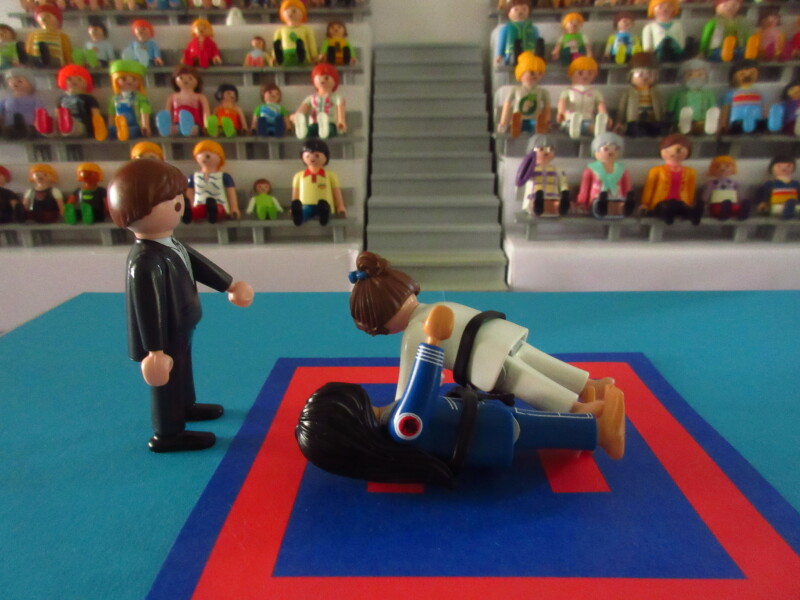 It's time for the Olympic Games for the Playmobil people in our house...