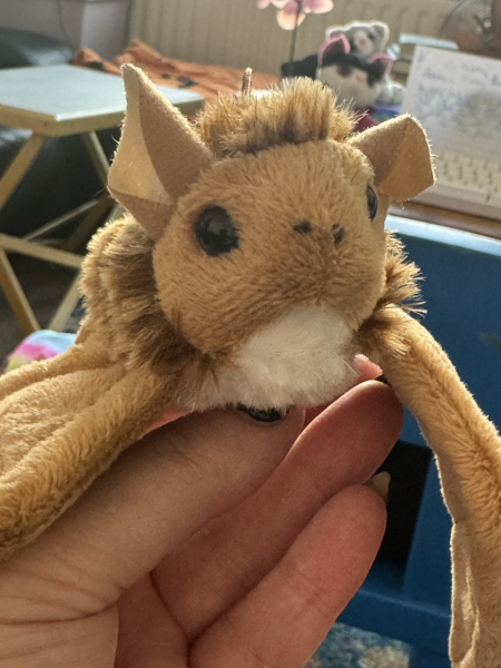 Thread 4 Starmer: Fighting back with brooms and community.