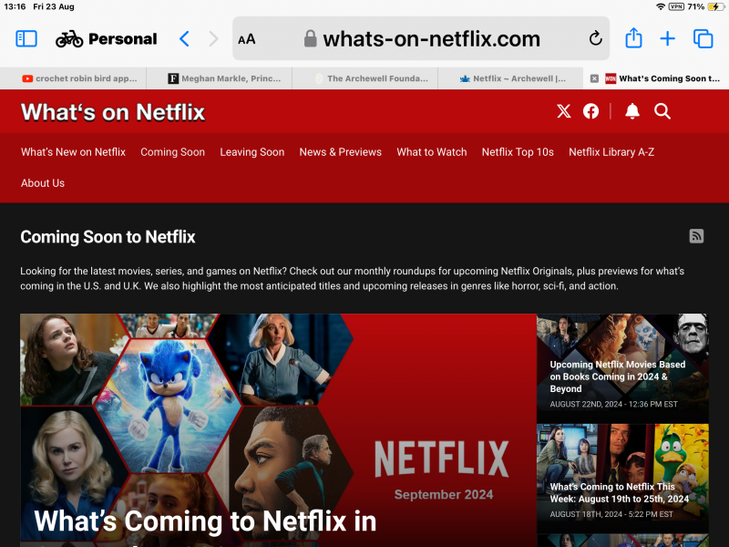 Netflix ~ Archewell