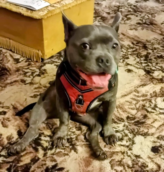 The Continuing Support Thread for Anyone Trying to Lead an Alcohol-Free Life Autumn 2024