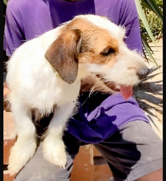 Help me name my new rescue!